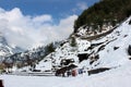 Mountain and tree of Manali Himachal Pradesh Town in India Royalty Free Stock Photo